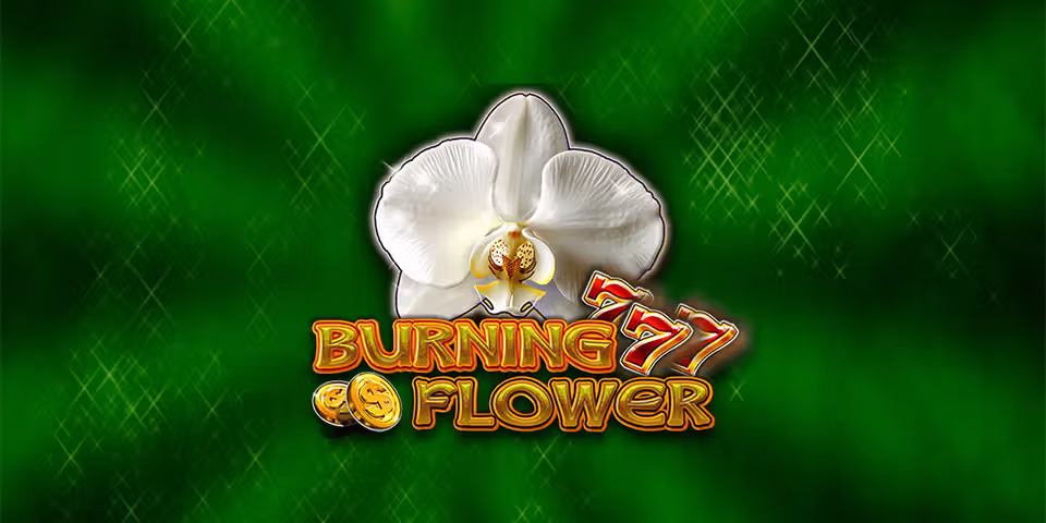 Burning Flower by CT Interactive, available for your casino platform