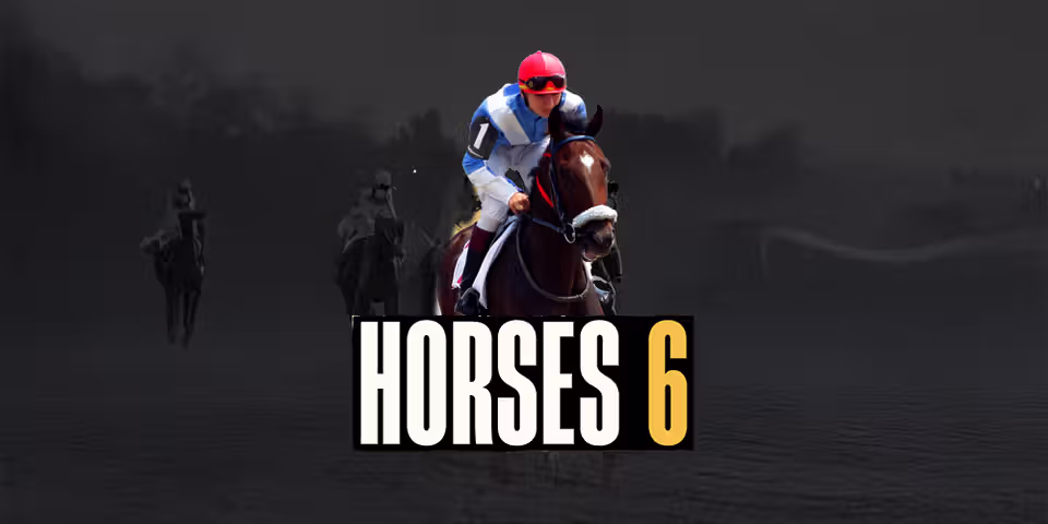 Horse 6 by Golden Race, available for your casino platform