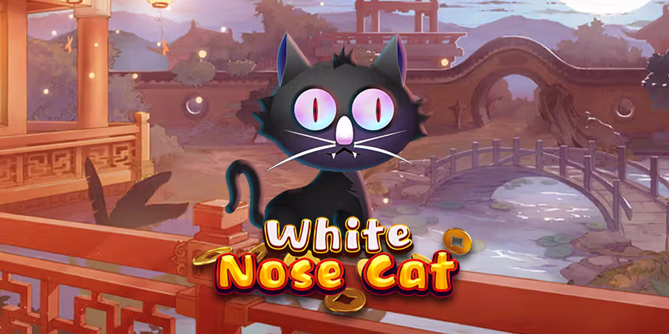 White Nose Cat by KA Gaming, available for your casino platform