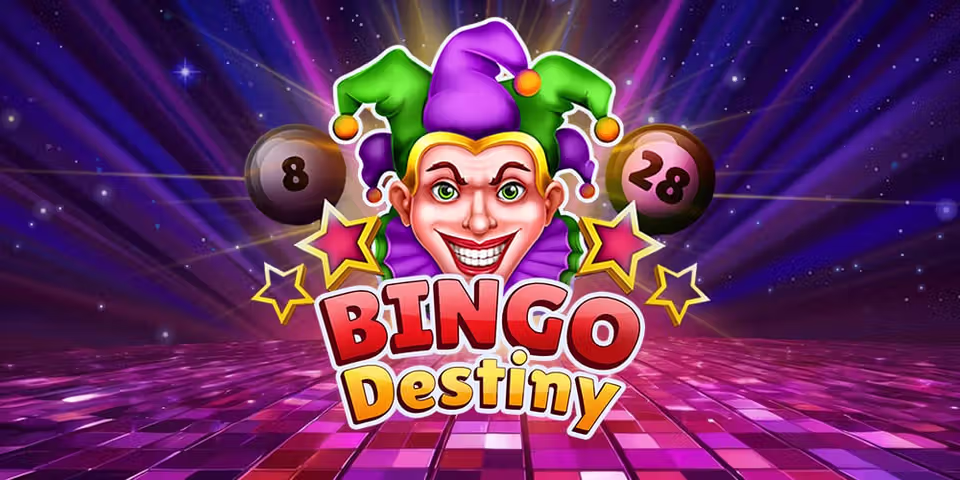 Bingo Destiny by Platipus Gaming, available for your casino platform