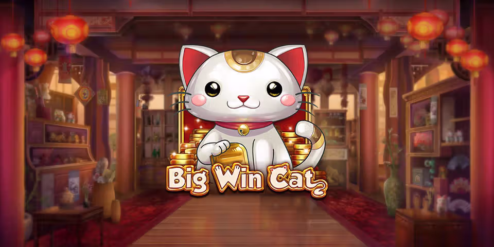 Big Win Cat by Play'n GO, available for your casino platform