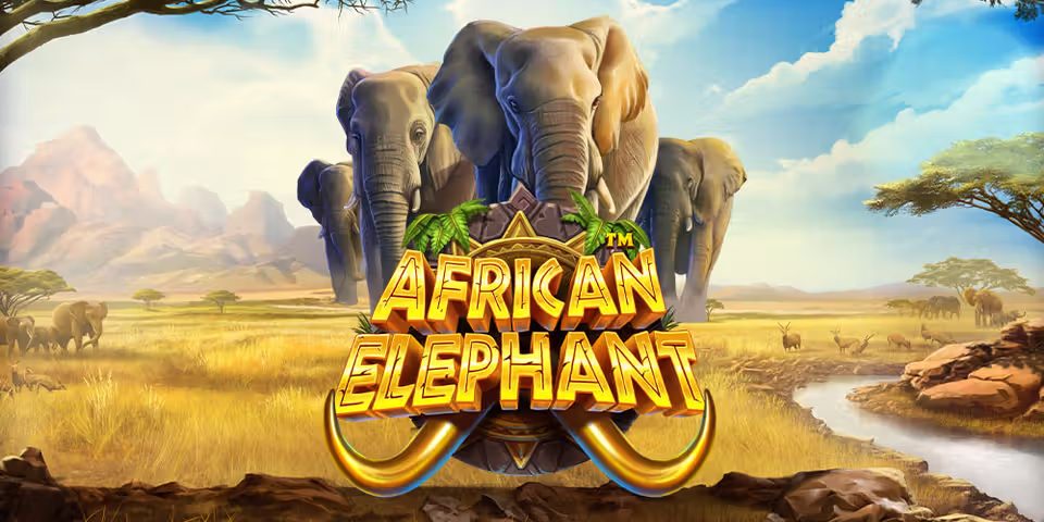 African Elephant by Pragmatic Play Casino, available for your casino platform