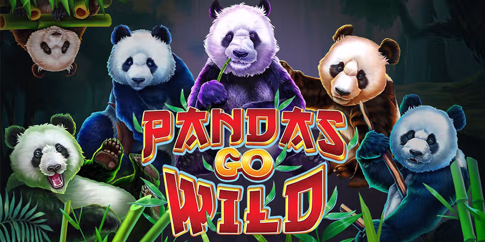 Panda's Go Wild by Qora, available for your casino platform