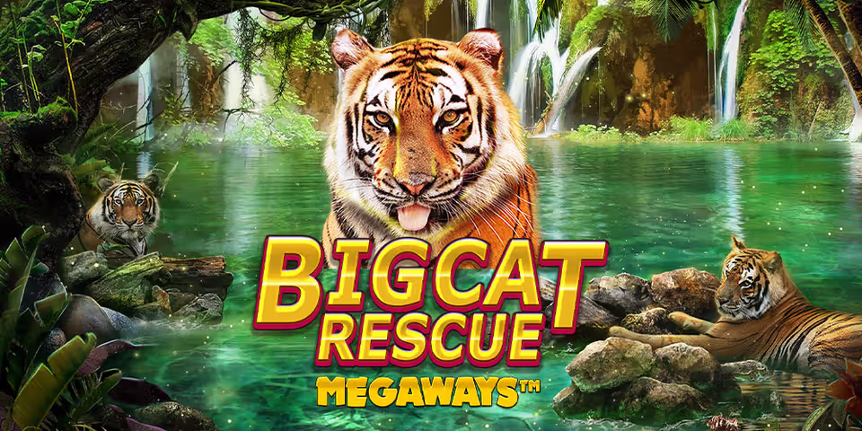 Big Cat Rescue Megaways by Red Tiger, available for your casino platform