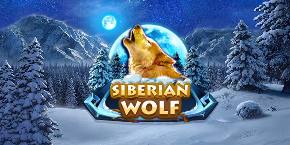 Siberian Wolf by Redrake, available for your casino platform