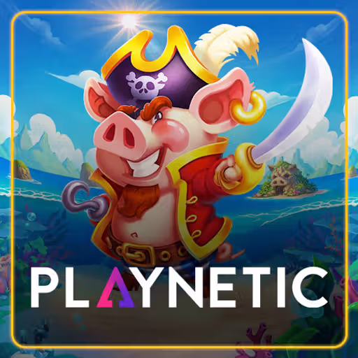 Playnetic logo